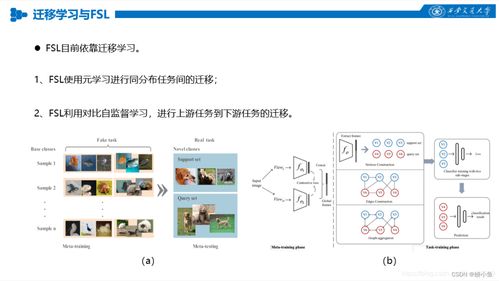 人工智能中的對比學(xué)習(xí) 算法原理與應(yīng)用探索